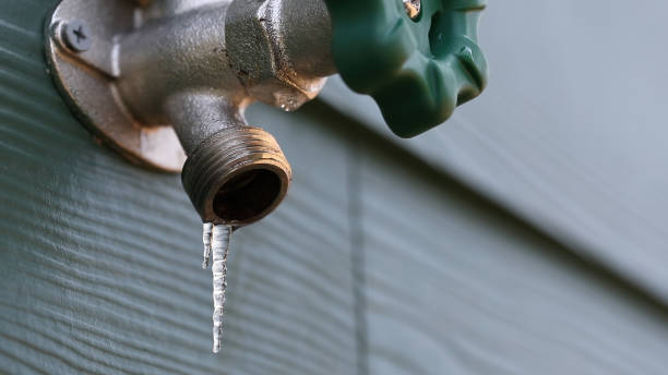 Best Leak Detection Services  in Justin, TX
